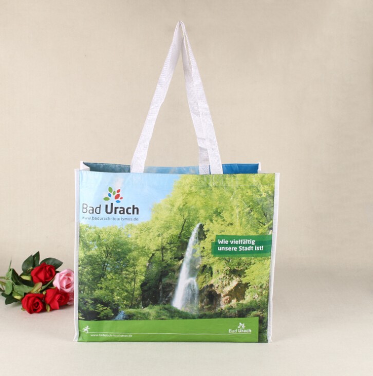 Shopping Bag